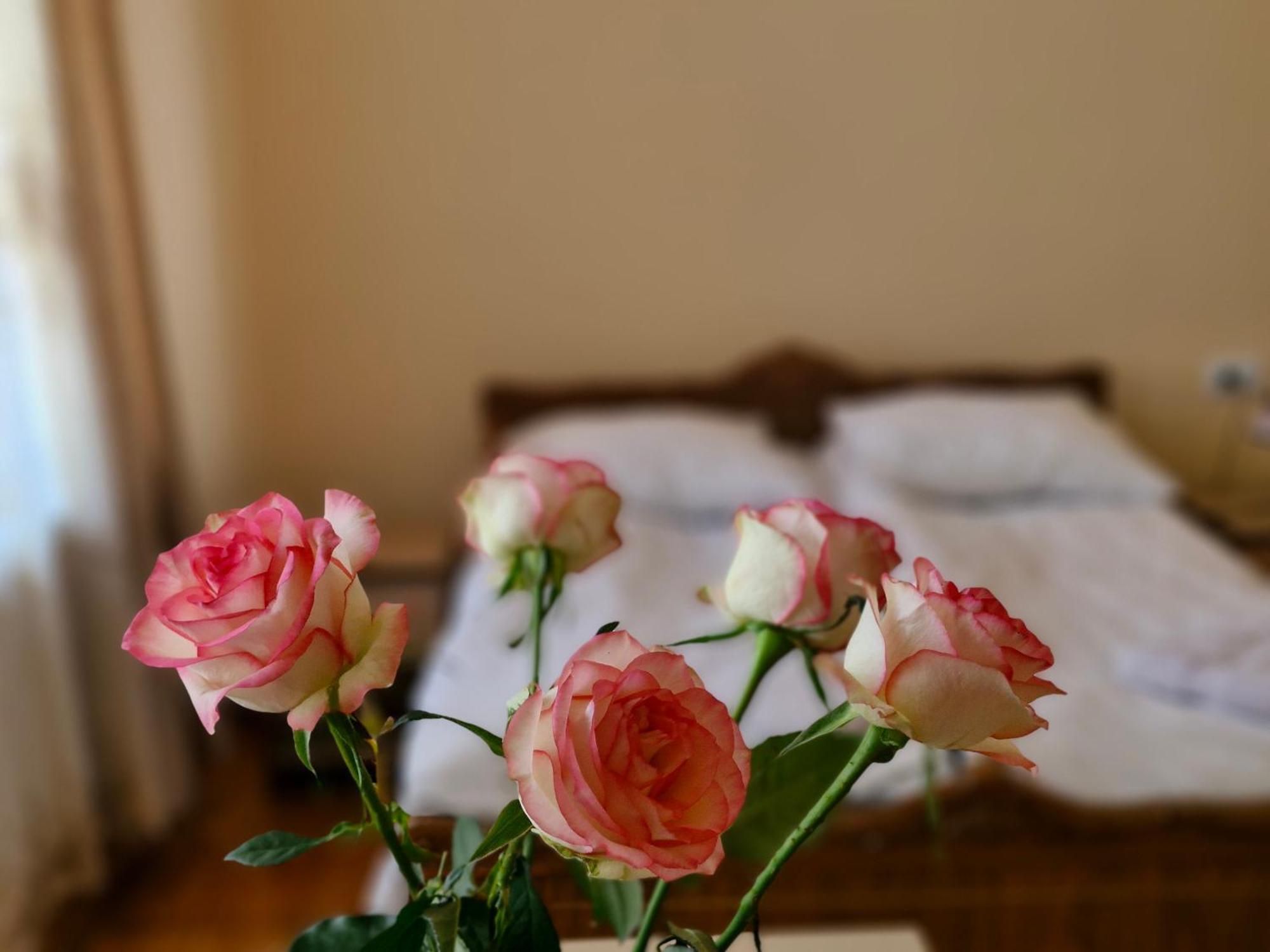 Guest House David'S B&B Gümrü Dış mekan fotoğraf